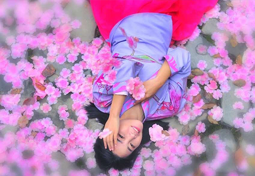 文章附图